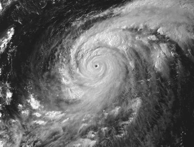 File:STY Rosie peak intensity.gif
