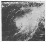 Hurricane Alberto (1982)