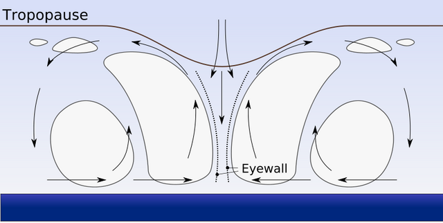 File:Hurricane profile.png