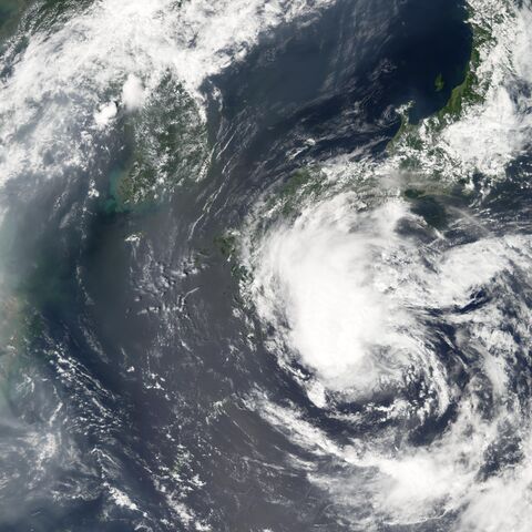 File:Omais.2020.jpg
