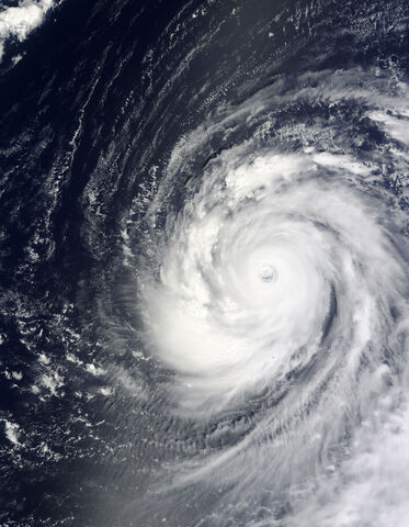 File:Dianmu.2020.jpg