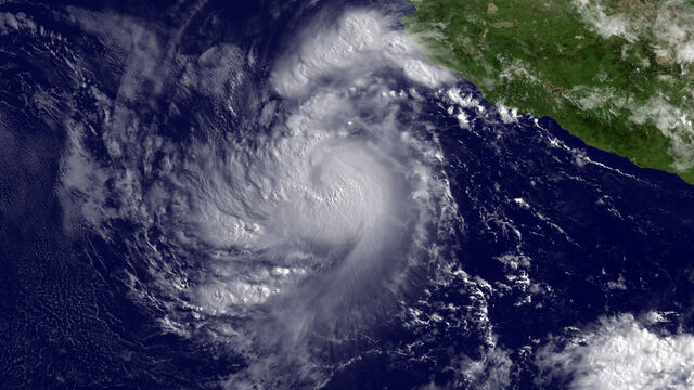 File:773 20110708-Calvin.jpg