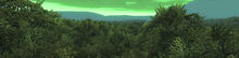 Lostwoodsbm