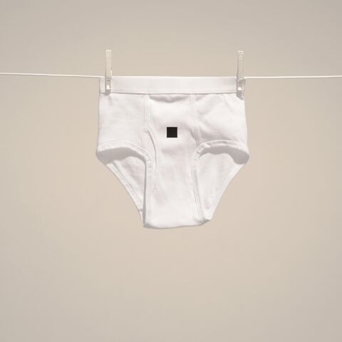 File:necessities; briefs, white.jpg