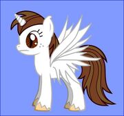 TWR Pony