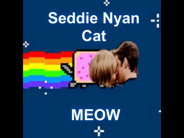 File:Seddie nyan cat.jpg