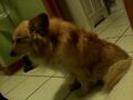 Thumbnail for version as of 23:28, April 28, 2012