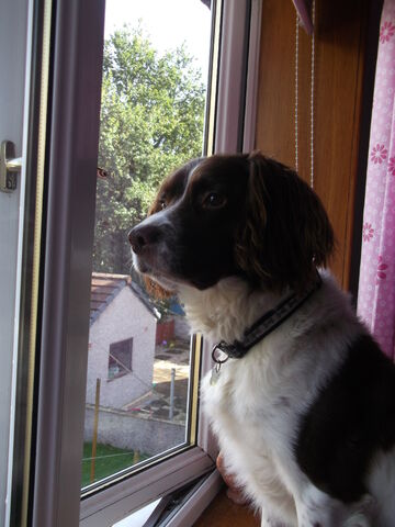 File:DSCF1139.jpg