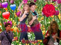 Thumbnail for version as of 13:23, January 26, 2011