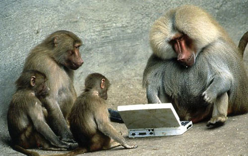 File:Funny monkey.jpg