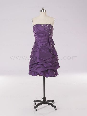 File:Crista choice 5.jpg