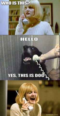 File:This-is-dog-scream.jpg