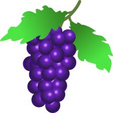 File:Grape.jpg