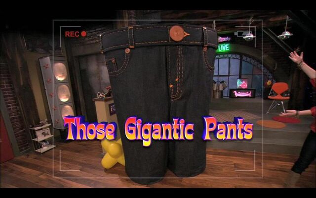 File:Pants23.jpg
