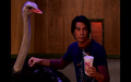 Thumbnail for version as of 00:16, May 13, 2010