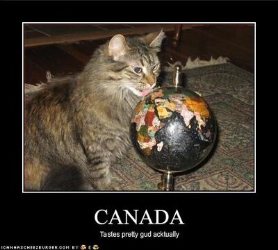 Funny-pictures-cat-likes-how-canada-tastes (1)