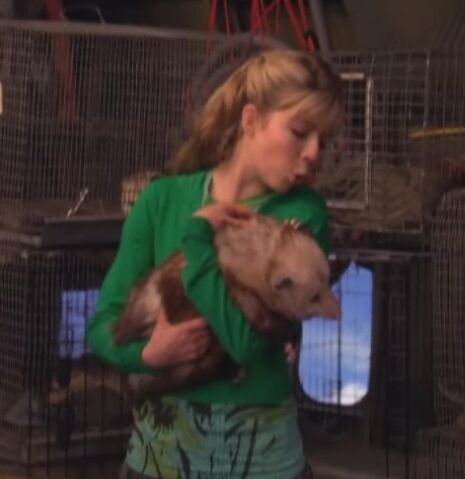 File:Sam with Possum.jpg