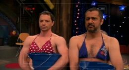 Bikini-Hundefutter-Fight