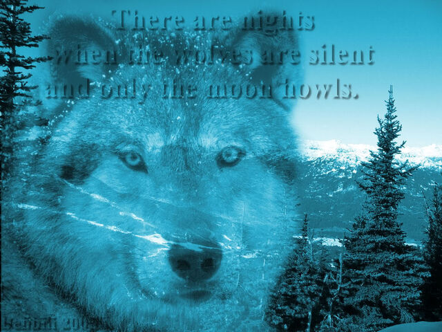 File:WolfWallpaper-1.jpg