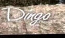 Dingologo