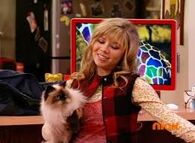 Samcat