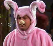 Chandler-bunny