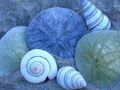 Thumbnail for version as of 20:35, September 21, 2011