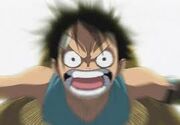 Haki.jpg