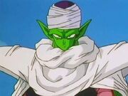 Piccolo.jpg