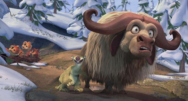 File:Sid musk ox.jpg
