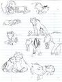 Thumbnail for version as of 07:46, June 10, 2012