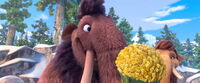 Julian giving Ellie buttercups