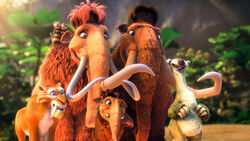 The herd