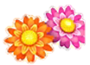 Cropped flower