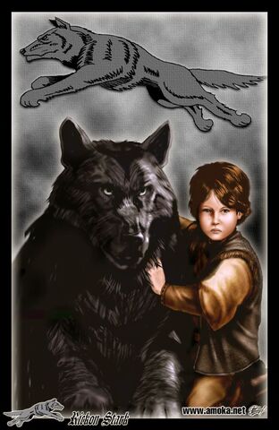 File:Rickon-Stark-by-Amoka-house-stark-24504301-585-900.jpg