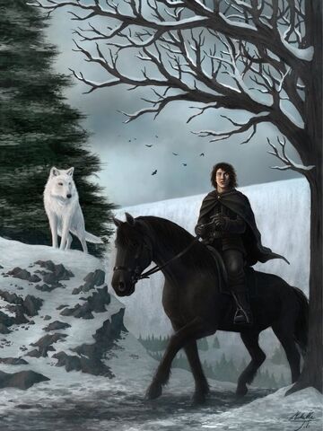 File:SciFi.Fantasy.ASoIaF-Jon-Snow.ASoIaF-signed.jpg.rZd.471469.jpg
