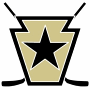 Fhlscwarriors