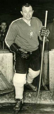 Karelgut