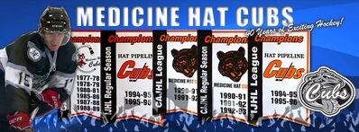 Medicine Hat Cubs history logo