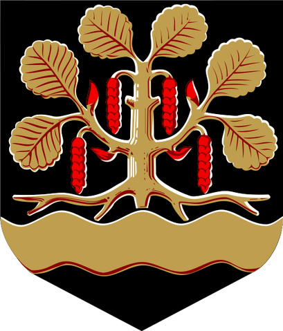 File:Leppävirta.png