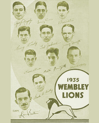 File:35WemLions.jpg