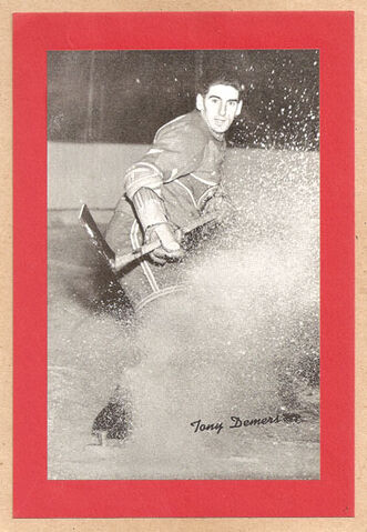 File:Tonydemers.jpg