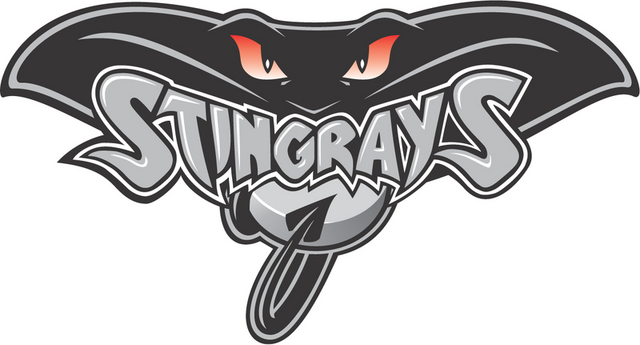 File:LogoHullStingrays.png