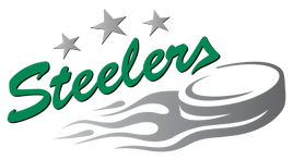 400px-Bietigheim Steelers logo
