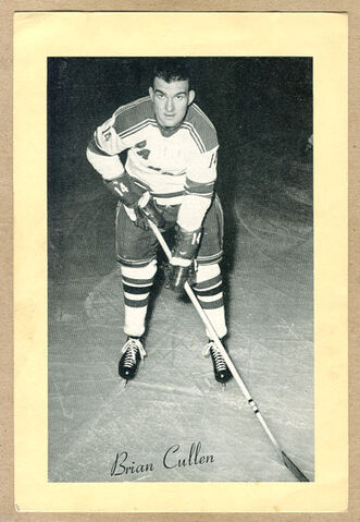 File:Briancullen.jpg