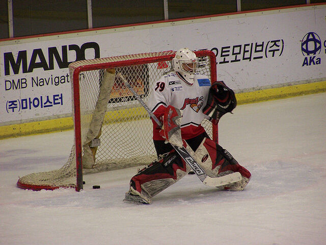 File:High1goalie.jpg