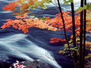High River