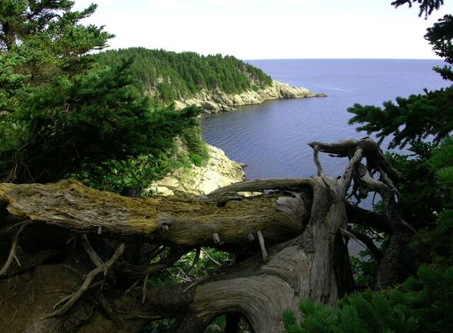 File:Cape Breton Island.jpg