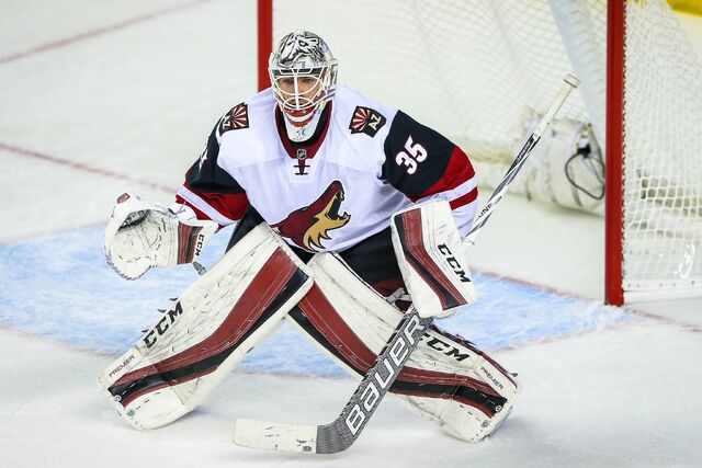 File:Domingue Coyotes 2016.jpg