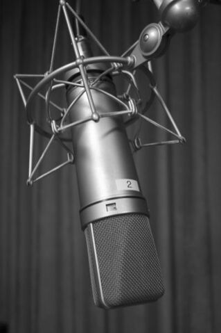 File:Microphone.jpg
